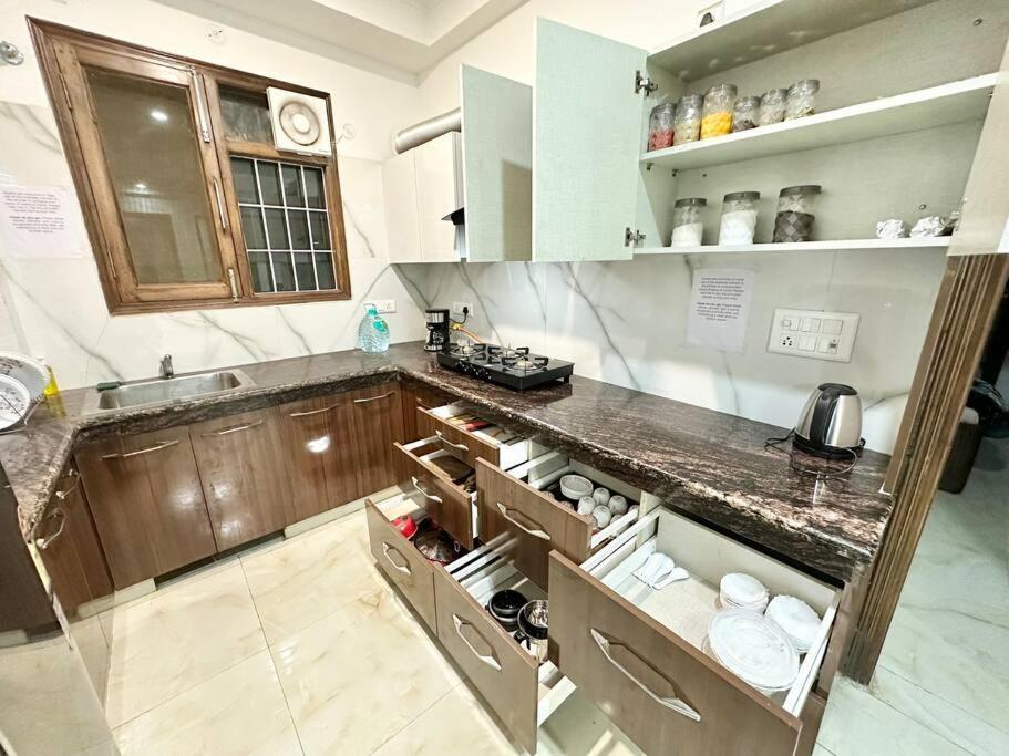 Forest Vistas A Luxury Vasant Kunj Gem Apartment New Delhi