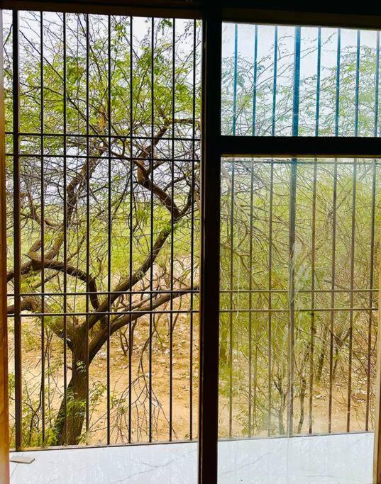 Forest Vistas A Luxury Vasant Kunj Gem Apartment