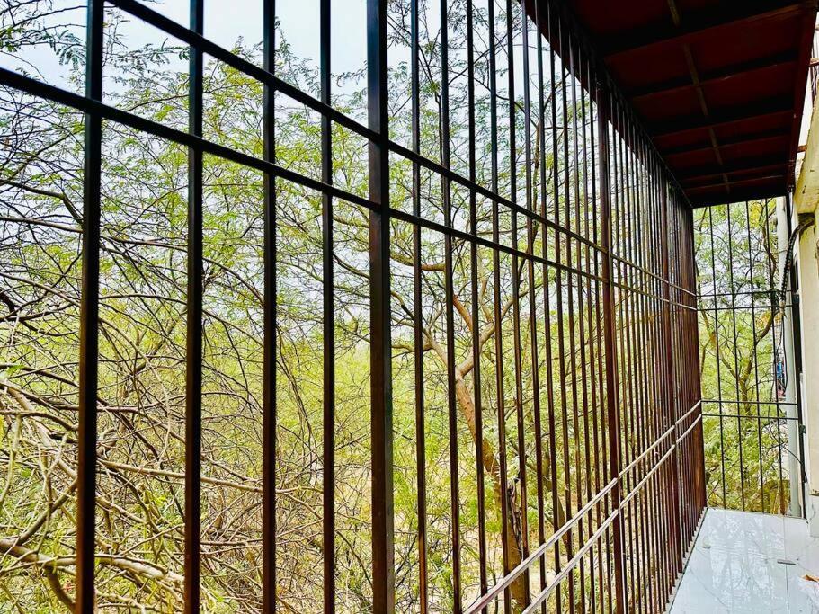 Forest Vistas A Luxury Vasant Kunj Gem *