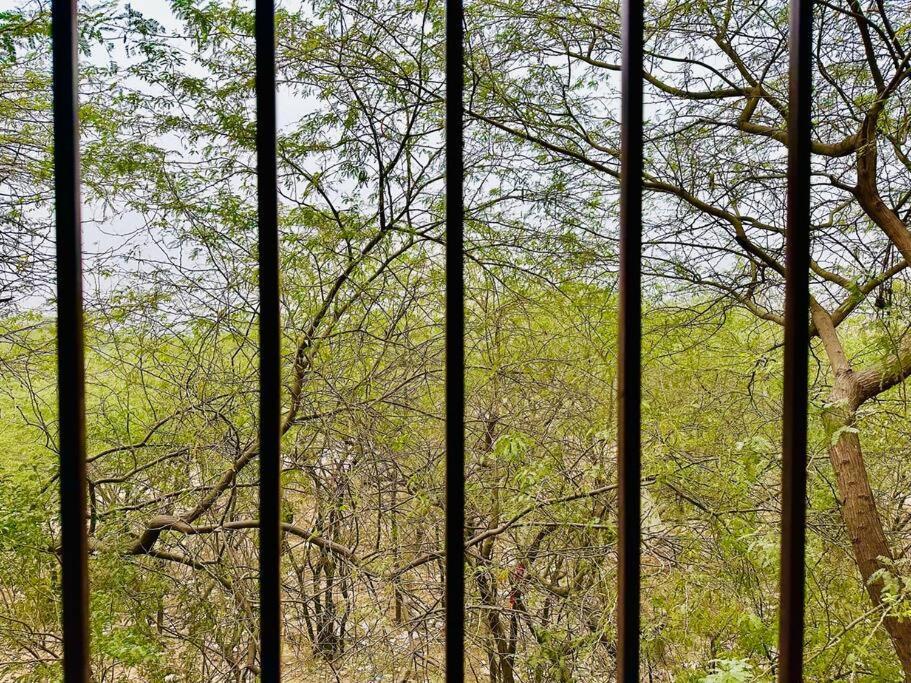 Forest Vistas A Luxury Vasant Kunj Gem *