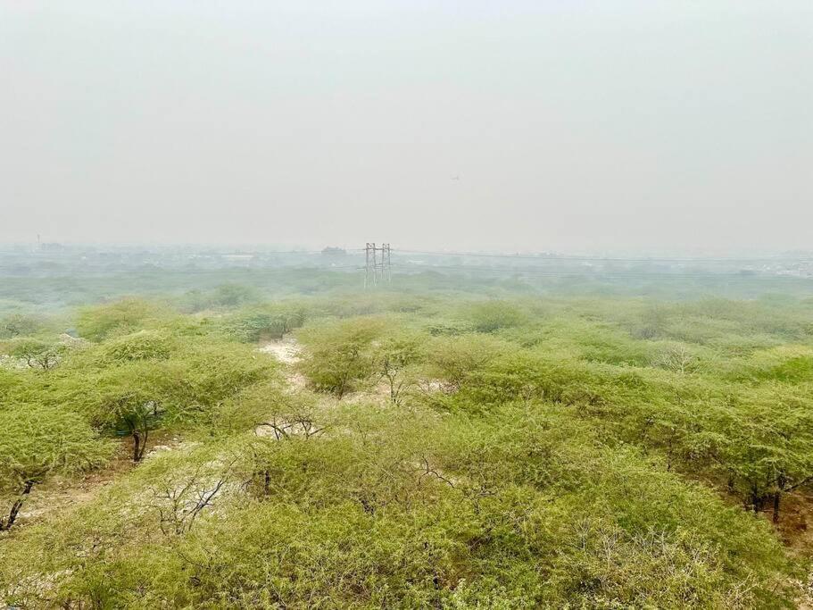 Forest Vistas A Luxury Vasant Kunj Gem * New Delhi